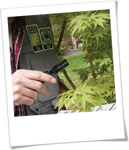 Tree Diagnosis